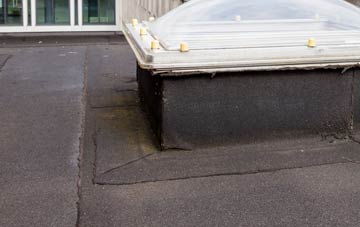 disadvantages of Newland Bottom flat roofs